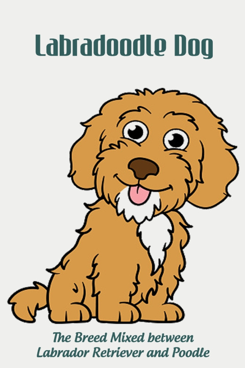 Boek Labradoodle Dog MARCUS LANKFORD MARCUS