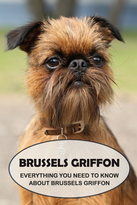 Buch Brussels Griffon SEAN OSIGBEME SEAN