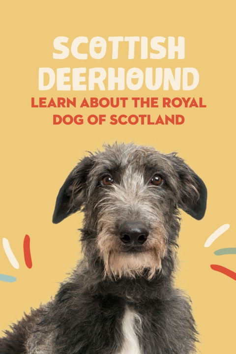 Knjiga Scottish Deerhound SEAN OSIGBEME SEAN