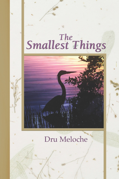 Knjiga Smallest Things Meloche Dru Meloche