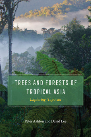 Könyv Trees and Forests of Tropical Asia Peter Ashton