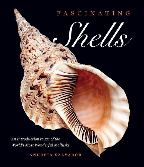 Könyv Fascinating Shells: An Introduction to 121 of the World's Most Wonderful Mollusks 