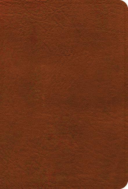 Kniha NASB Large Print Compact Reference Bible, Burnt Sienna Leathertouch 