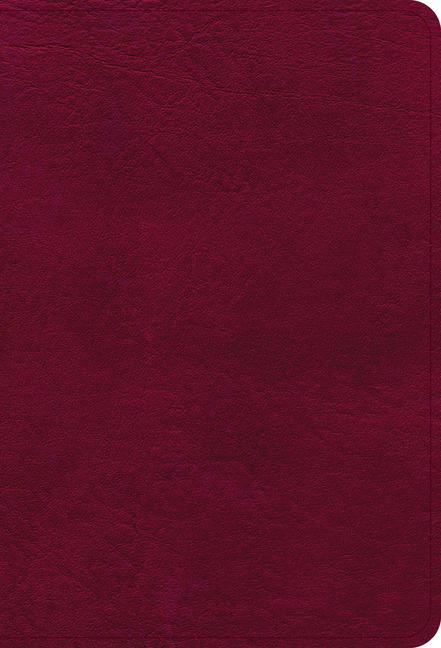 Книга NASB Large Print Compact Reference Bible, Burgundy Leathertouch 