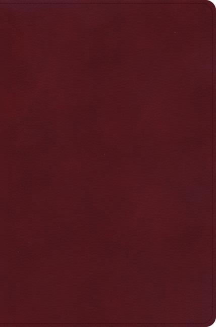 Knjiga NASB Giant Print Reference Bible, Burgundy Leathertouch, Indexed Holman Bible Publishers