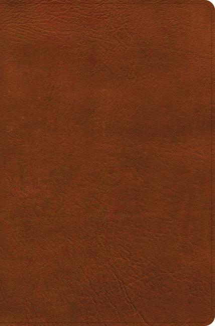 Kniha NASB Giant Print Reference Bible, Burnt Sienna Leathertouch 