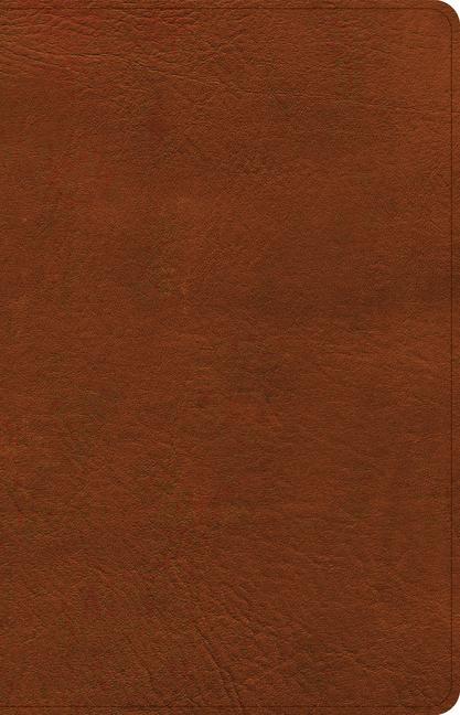 Knjiga CSB Thinline Reference Bible, Burnt Sienna Leathertouch 
