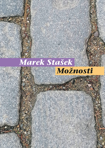 Könyv Možnosti Marek Stašek