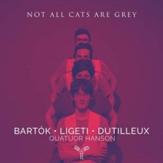 Zvok Not All Cats Are Grey (String Quartets) 