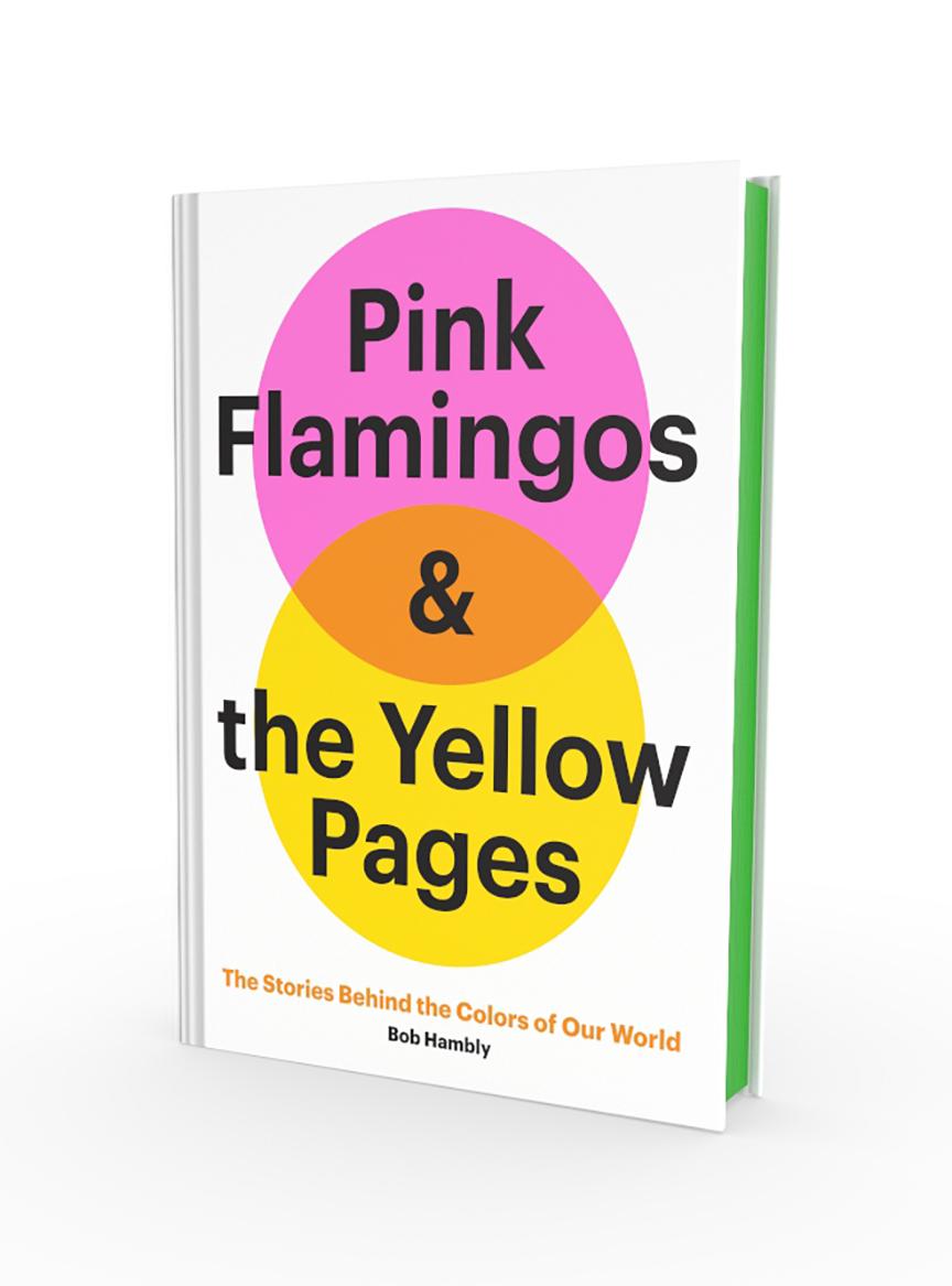 Kniha Pink Flamingos and the Yellow Pages 