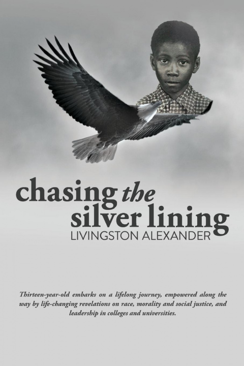 Knjiga Chasing the Silver Lining Livingston Alexander