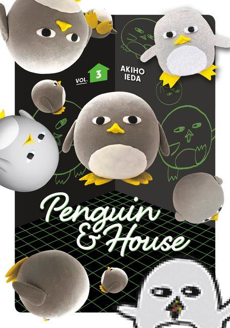 Carte Penguin & House 3 