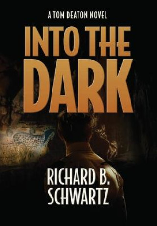 Buch Into The Dark Richard B. Schwartz