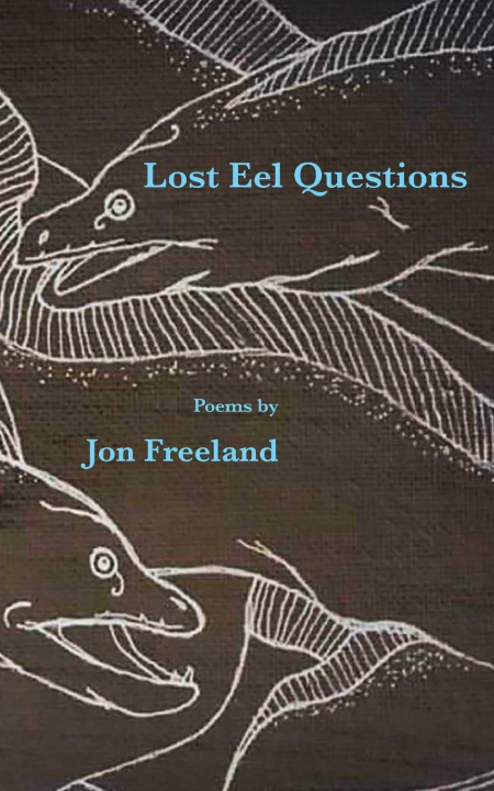 Knjiga Lost Eel Questions Jon Freeland