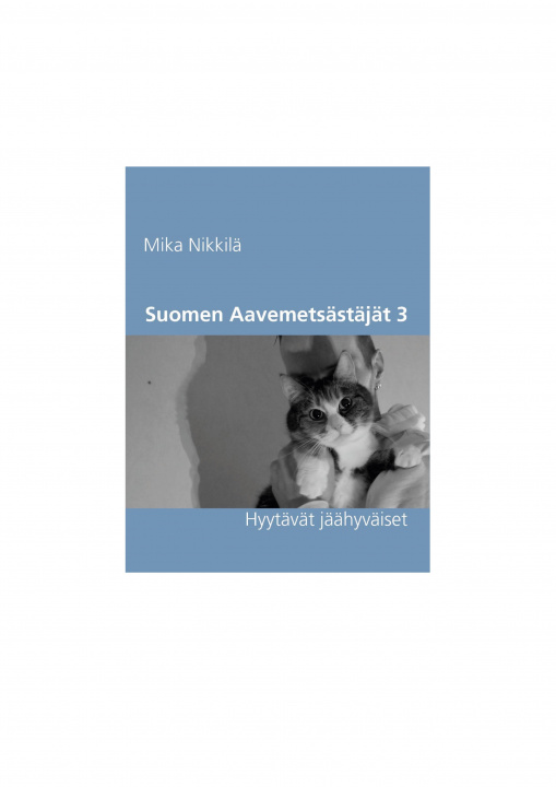 Könyv Suomen Aavemetsastajat 3 