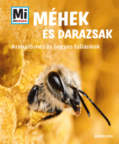 Kniha Méhek és darazsak Alexandra Rigos