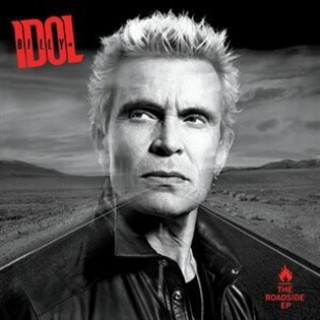 Knjiga The Roadside Billy Idol