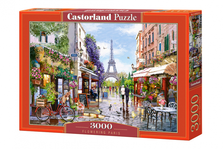 Könyv Puzzle 3000 Paryż C-300525-2 