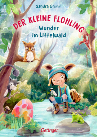 Könyv Der kleine Flohling 3. Wunder im Littelwald Anja Grote