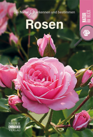 Kniha Rosen 