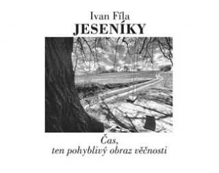 Kniha Jeseníky Ivan Fíla
