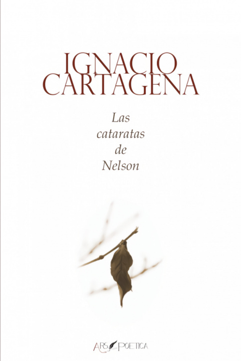 Buch Las cataratas de nelson IGNACIO CARTAGENA