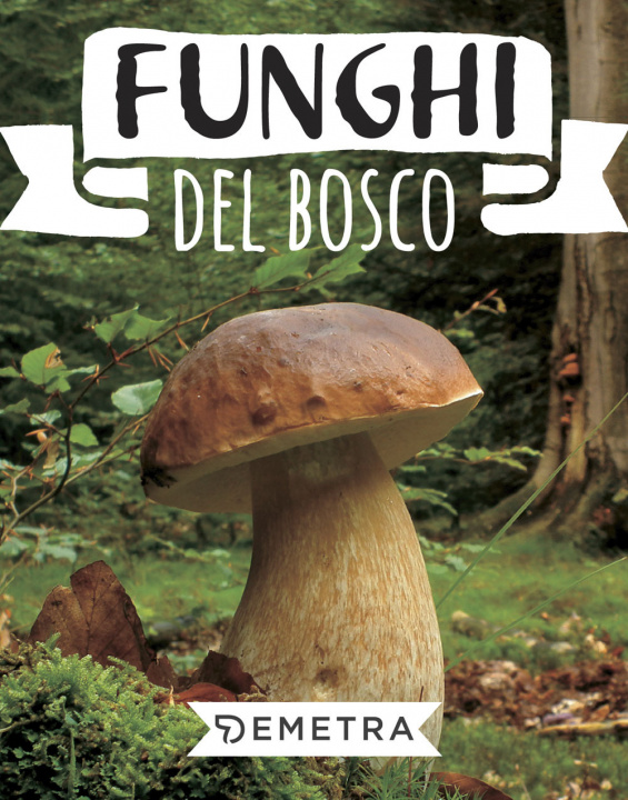 Książka Funghi del bosco 