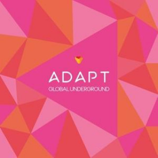Audio Global Underground:Adapt #5 Various Artists