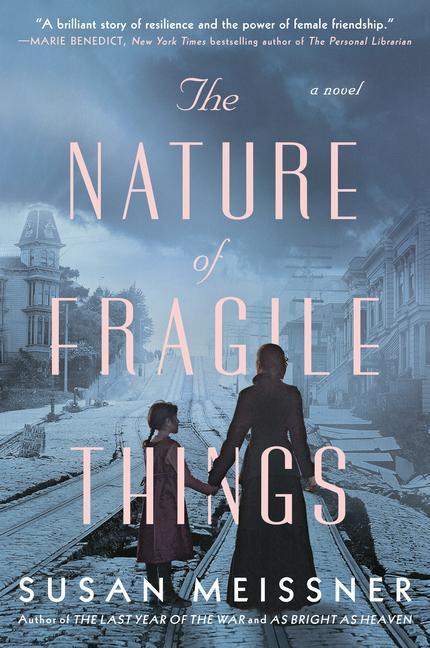 Kniha Nature Of Fragile Things 