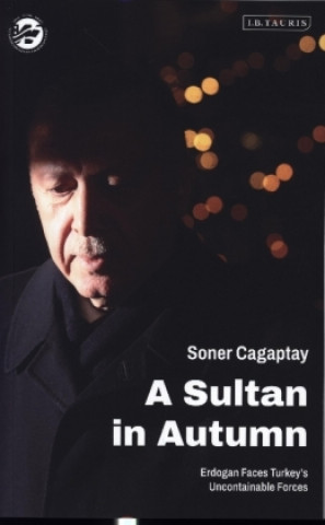 Book A Sultan in Autumn: Erdogan Faces Turkey's Uncontainable Forces 