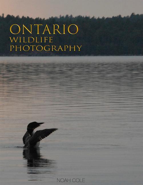 Kniha Ontario Wildlife Photography Noah Cole