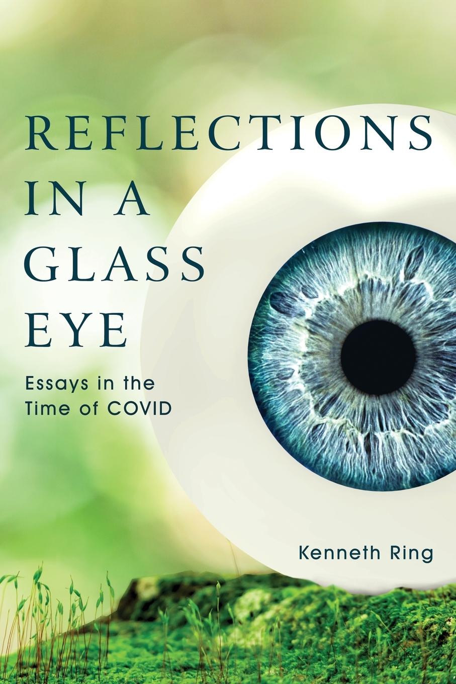 Kniha Reflections in a Glass Eye Kenneth Ring