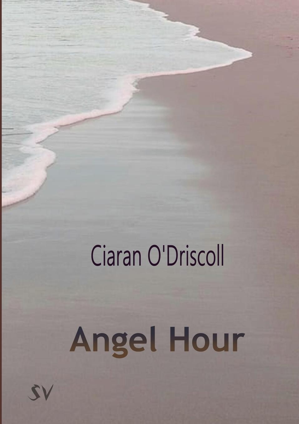 Boek Angel Hour Ciaran O'Driscoll