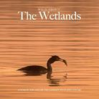Kniha Wild about The Wetlands Andrew Wilson