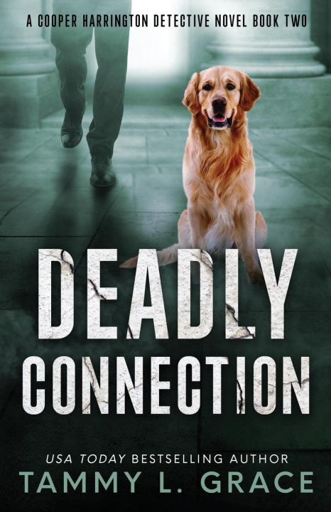 Knjiga Deadly Connection Tammy L. Grace