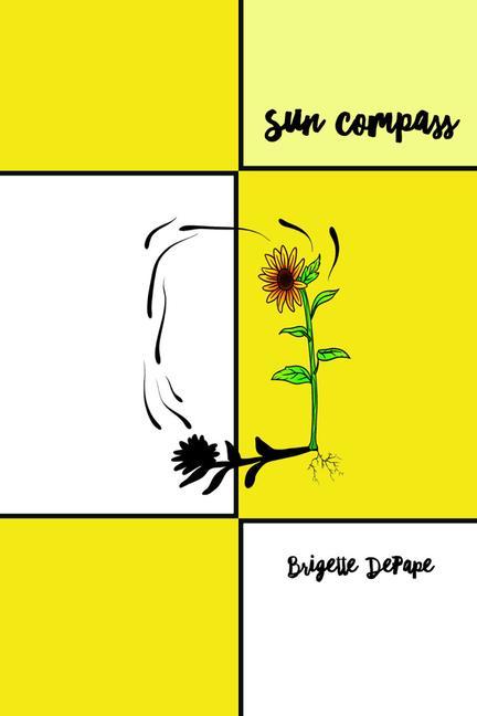 Knjiga Sun Compass Brigette DePape