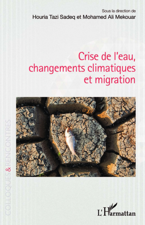 Könyv Crise de l'eau, changements climatiques et migration Tazi Sadeq