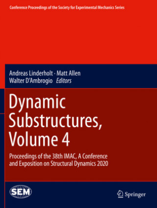 Knjiga Dynamic Substructures, Volume 4 Walter D'Ambrogio