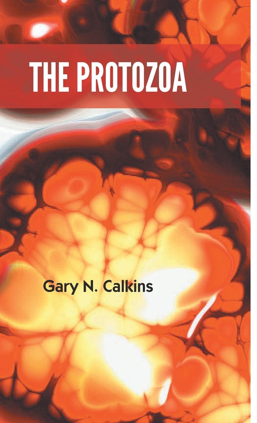 Könyv Protozoa 