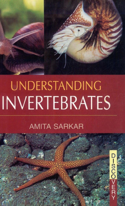 Βιβλίο Understanding Invertebrates Amita Sarkar