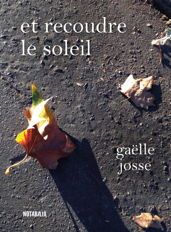 Book Et recoudre le soleil Josse gaelle