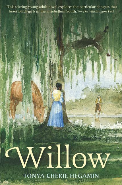 Kniha Willow 