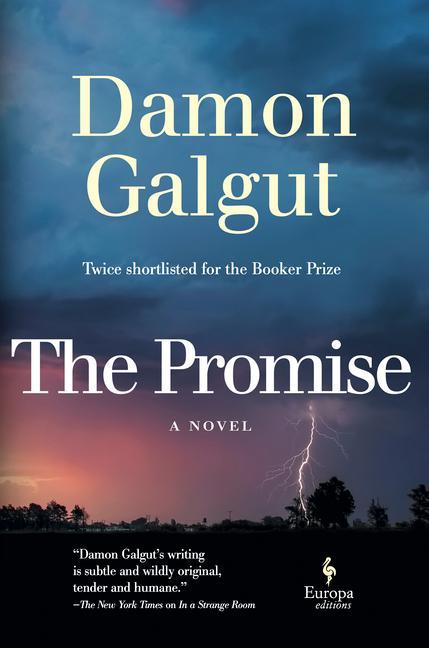 Kniha The Promise: A Novel (Booker Prize Winner) 