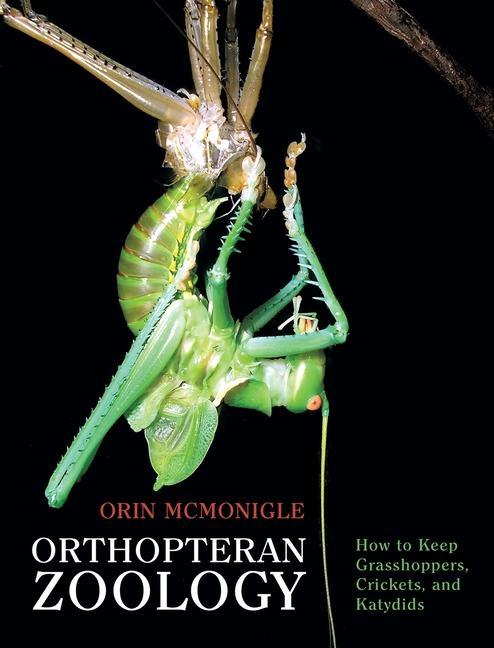 Книга Orthopteran Zoology 