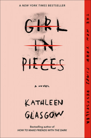 Kniha Girl in Pieces 