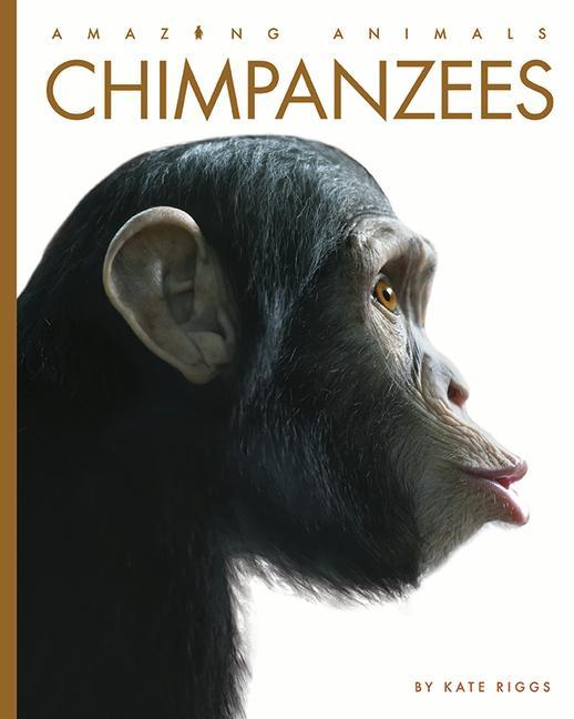 Knjiga Chimpanzees Riggs