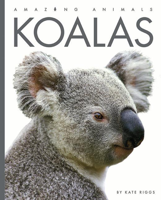 Kniha Koalas 