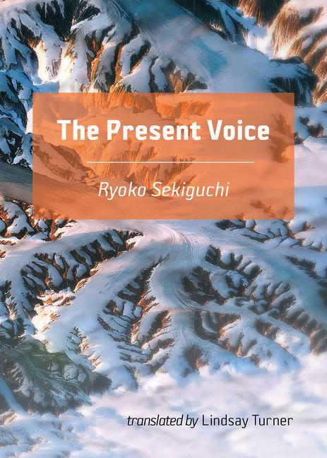Boek The Present Voice Lindsay Turner