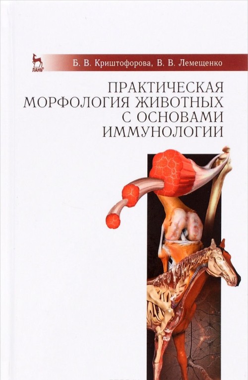 Könyv Практическая морфология животных с основами иммунологии Б. В. Криштофорова