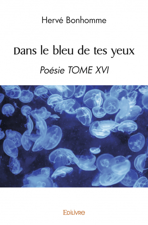 Carte Dans le bleu de tes yeux BONHOMME HERVE